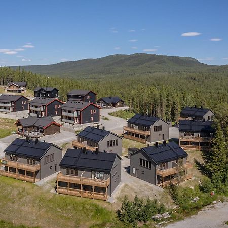 Parkstigens Fjaellby - Kavan Funäsdalen 外观 照片